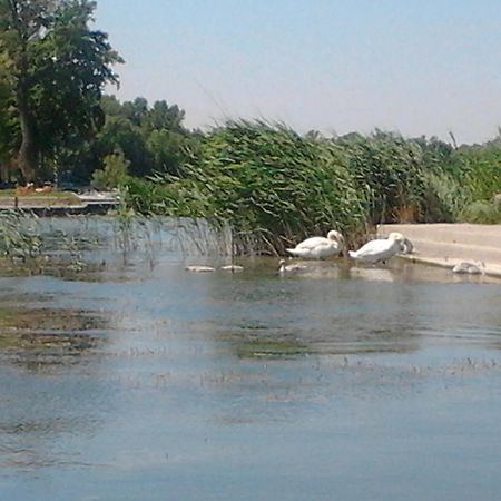 Villa Napsugar Nyaralo Fonyód Esterno foto